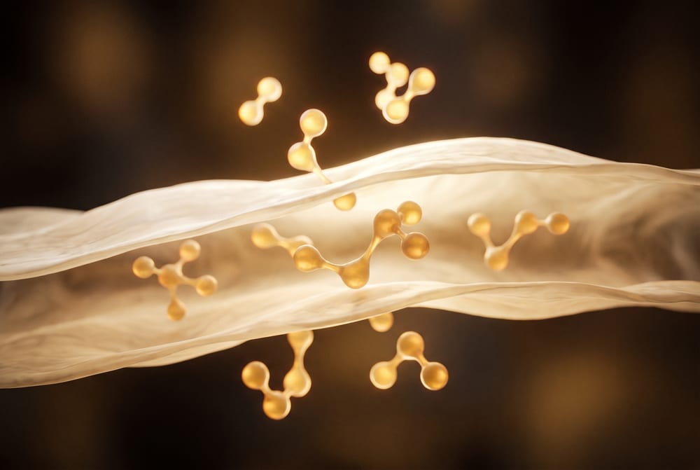 Molecole che attraversano la membrana cellulare